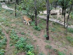 -石家庄市动物园