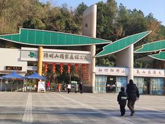 -江西阳明山国家森林公园