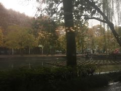 景观位-星巴克(西湖天地店)