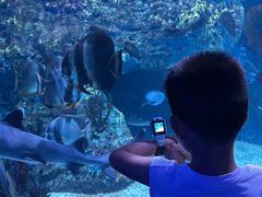 -海合安成都极地海洋公园