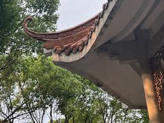 -红花山公园