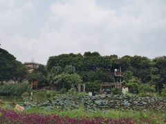 -广州市紫泥堂文化创意园景区