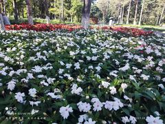 -黑龙江省森林植物园