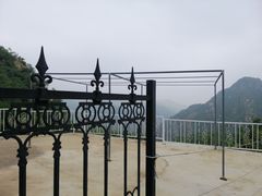 -大岭沟猕猴桃谷风景区