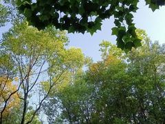 -神光山国家森林公园