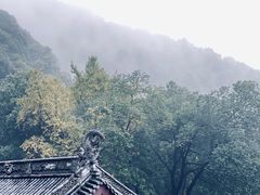 -韬光茶庵
