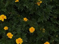 -月坛公园