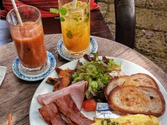 -Fern Forest Cafe
