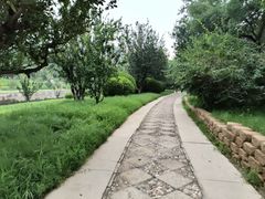 -元大都城垣遗址公园