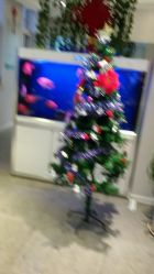 -传世玉颜专业祛痘·问题肌