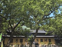 -普陀山风景名胜区-法雨禅寺