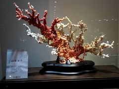 -绮丽珊瑚(台北101旗舰门市店)