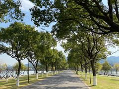 -东钱湖小普陀景区