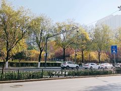 -陕西广播电视塔