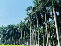 -南宁花花大世界景区
