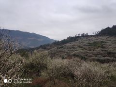 -福建天门山