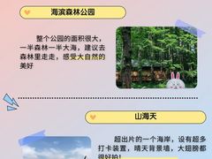 -日照海滨国家森林公园