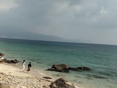 -杨梅坑