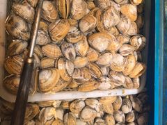 -松涛园朝鲜·海鲜·料理店(鸭绿江断桥店)