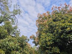 -洛阳周公庙博物馆