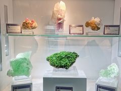 -中国地质大学逸夫博物馆