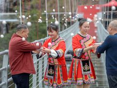 -九龙江国家森林公园