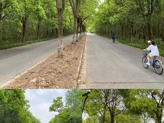 -上海海湾国家森林公园