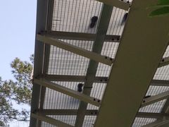 -狐尾山公园