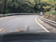 -重庆九凤瑶池海明山庄