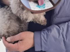 -谐和贝康宠物医院24小时·宠保定点(急重症转诊中心)