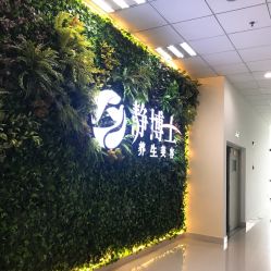 -静博士养生美容连锁
