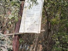 -西安市长乐公园