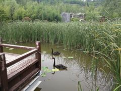 -白鹿原影视城