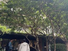-微热山丘(台北民生公园门市店)
