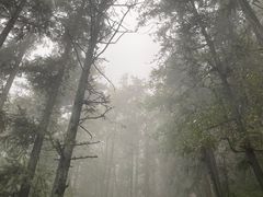-冶父山国家森林公园