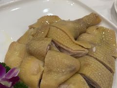 -东江渔村(皇悦店)