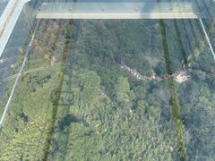 -南丹山森林王国