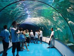 -福州罗源湾海洋世界旅游区