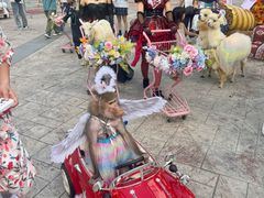 -灵玲国际马戏城