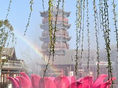 -沙澧河风景区