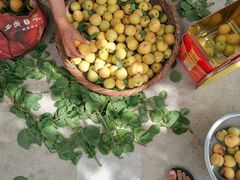 -乾州食府(小雁塔店)