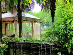 -野蔓果·山野菜(西湖景区·龙井茶田店)