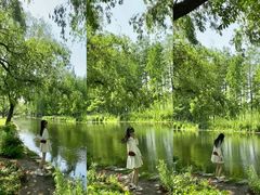 -上海共青森林公园