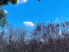 -上方山森林动物世界