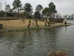 -美兰湖景区