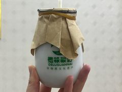 -德禄酸奶(莫家街店)