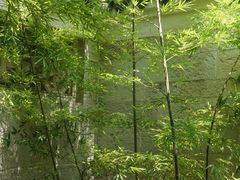 -安顺武庙