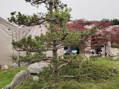 -汇龙潭