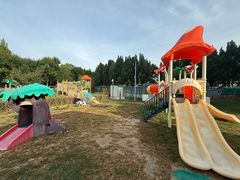 -廊坊固安福朋喜来登酒店