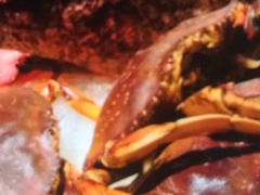 -常州逸高酒店-中餐厅